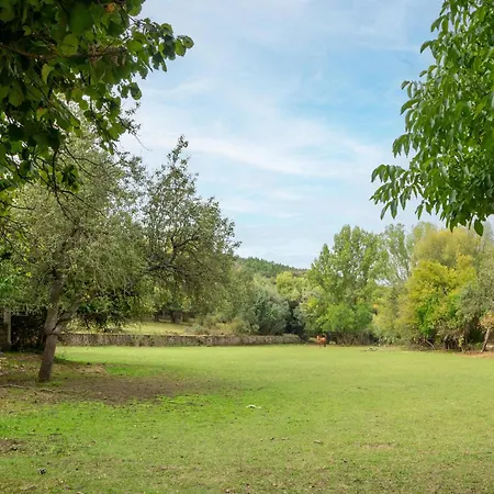Tranquil Near Luna River * Бенльера