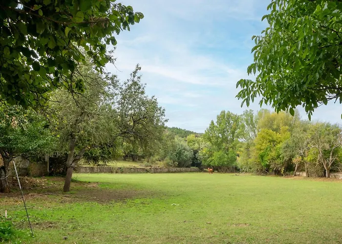 Tranquil Near Luna River * Benllera